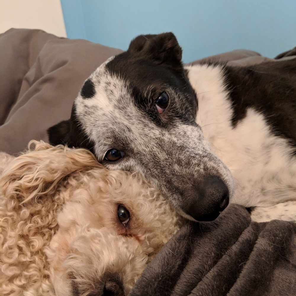 Meet your Posher, Mmattie